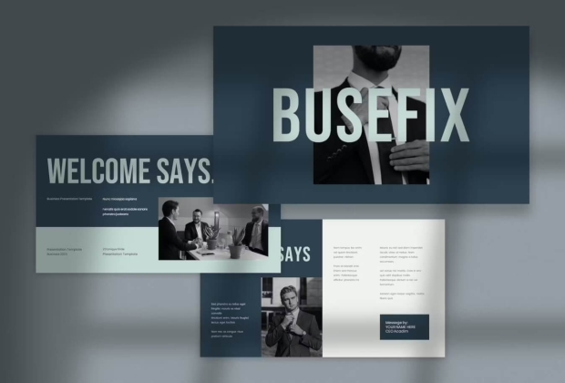 Busefix 业务演示文稿 PowerPoint 模板