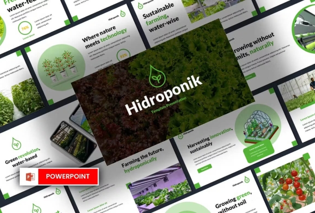 Hidroponic - 水培农业 Powerpoint 模板